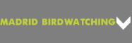 Rutas Madrid BirdWatching