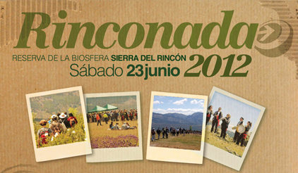 Rinconada 2012