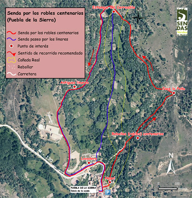 Ampliar el mapa