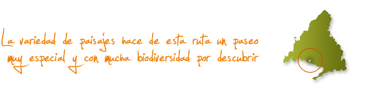 La variedad de paisajes hace de esta ruta un paseo muy especial y con mucha biodiversidad por descubrir